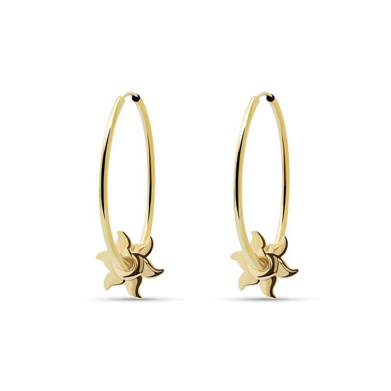 Sun Gold Hoops - 14 karat gold hoop earrings